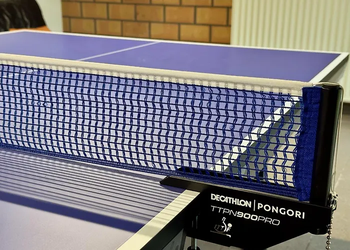 Vakantiehuis 3br With Big Garden, Ping-pong, Cinema, Bath